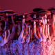 Image for article titled Everyday Benefits Of Ingesting Hallucinogens